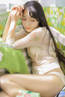苏菲日记第二部